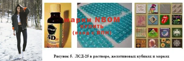 PSILOCYBIN Нязепетровск