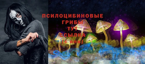 прущий лед Няндома