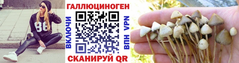 купить   Харовск  Псилоцибиновые грибы прущие грибы 